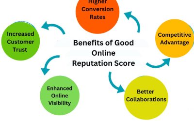 check online reputation score